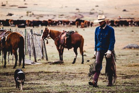 Plan Your Trip to the Cariboo .